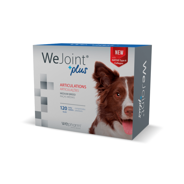 We joint plus medium breed