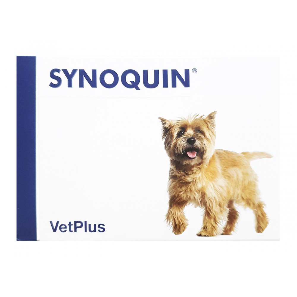 synoquin-caini